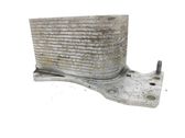 Oil filter mounting bracket