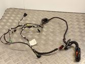 Rear door wiring loom
