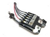 Positive wiring loom