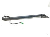 Tailgate/trunk strut/damper