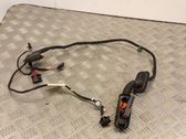 Rear door wiring loom