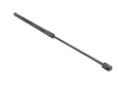 Tailgate/trunk strut/damper