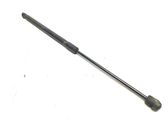 Tailgate/trunk strut/damper