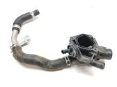 Thermostat/thermostat housing