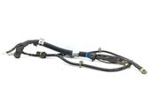 Wires (starter motor)