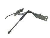 Engine bonnet/hood hinges