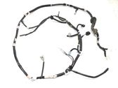 Tailgate/trunk wiring harness