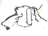 Front door wiring loom