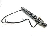 Tailgate/trunk strut/damper