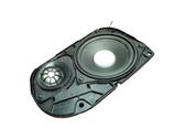 Rear door speaker