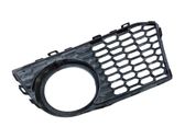 Front fog light trim/grill