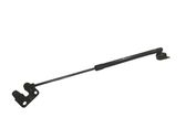 Tailgate/trunk strut/damper