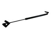 Tailgate/trunk strut/damper