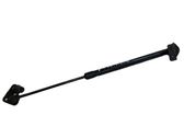 Tailgate/trunk strut/damper