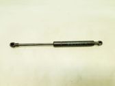 Front bonnet/hood damper/strut