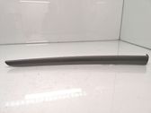 Rear door card trim