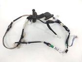 Rear door wiring loom