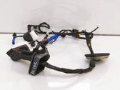 Front door wiring loom