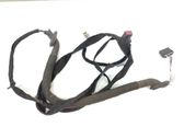 Loading door wiring loom