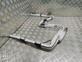 Roof airbag