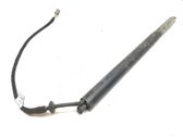 Tailgate/trunk strut/damper
