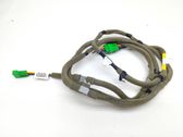 Other wiring loom