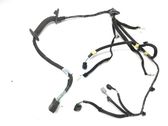 Front door wiring loom