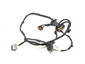 Rear door wiring loom