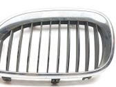 Front grill