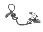 Front door wiring loom