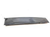 Rear door glass trim molding