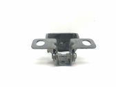 Tailgate/trunk/boot hinge