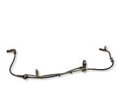Cableado del sensor ABS trasero