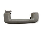 Front interior roof grab handle
