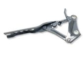 Engine bonnet/hood hinges