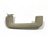 Front interior roof grab handle