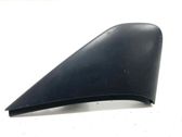 Fender trim (molding)