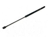 Tailgate/trunk strut/damper