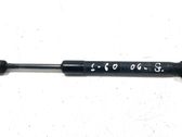 Tailgate/trunk strut/damper