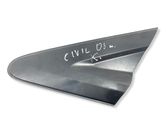 Fender trim (molding)