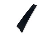 Rear door trim (molding)