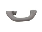 Rear interior roof grab handle