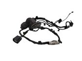 Rear door wiring loom
