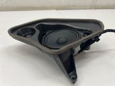 Rear door speaker