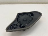 Rear door speaker