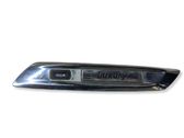 Front fender indicator light