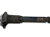Rear shock absorber/damper