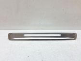 Radio/GPS head unit trim