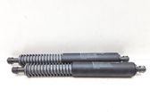 Tailgate/trunk strut/damper