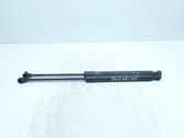 Tailgate/trunk strut/damper